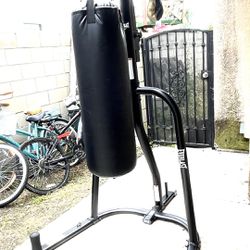 Everlast Stand and Punching Bag