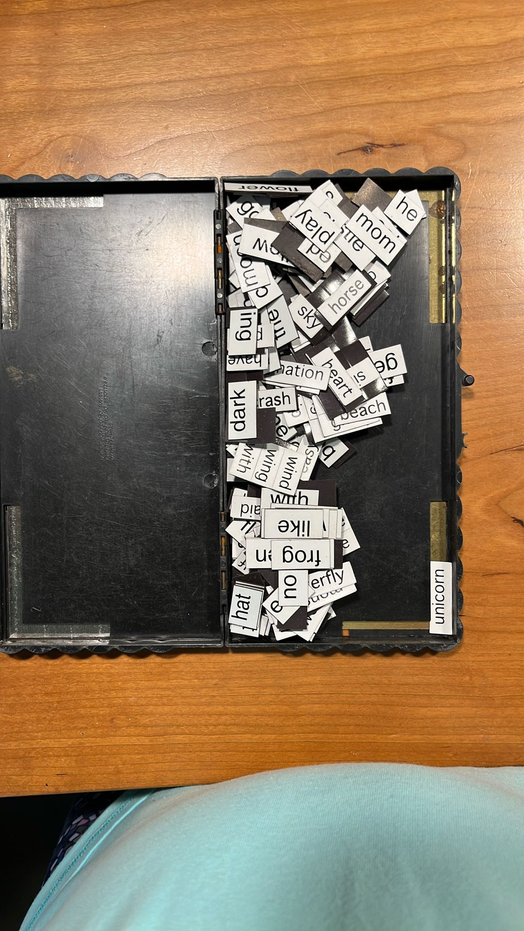 Illuminations magna poem