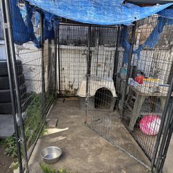 Large used  Dog Kennel