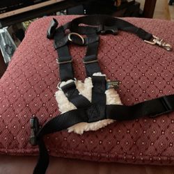 Dog Harness 