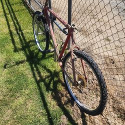 Cannondale Mountain Bike