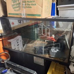 Large Glass Terrarium / Aquarium Tank