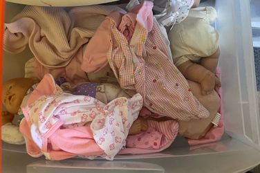 Tote full of dolls and clothes. Off Boxelder dr 92563
