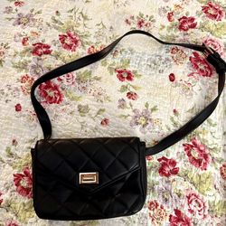 Purse Fanny Pack