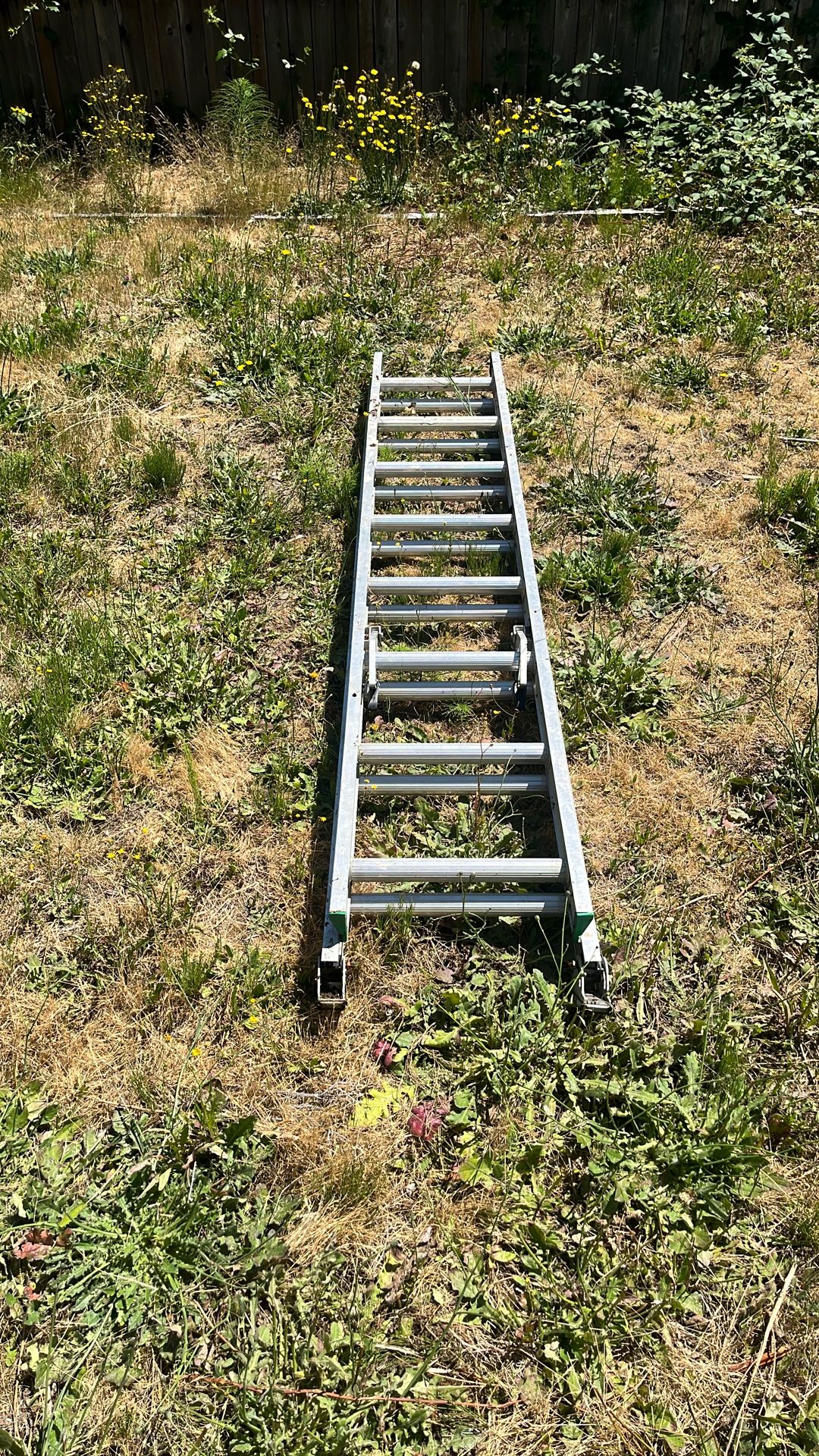 16’ Aluminum Ladder