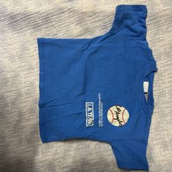 Zara toddler t shirt