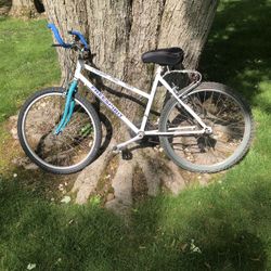 26” Mountain Bike 