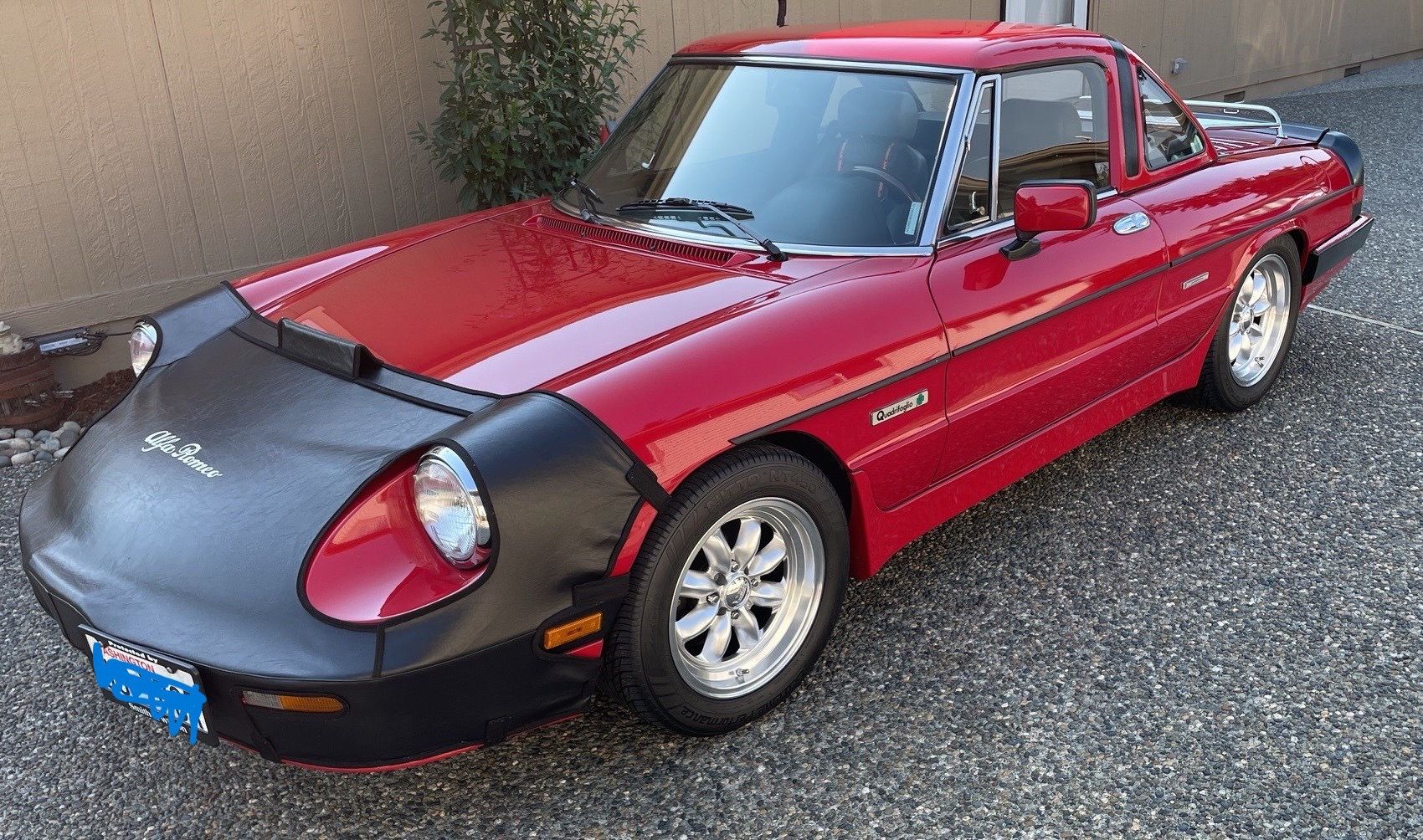 1989 Alfa Romeo Spider