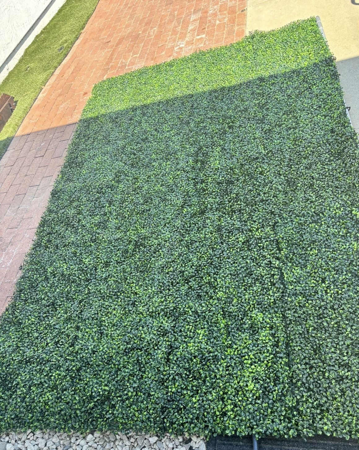 Grass Backdrop