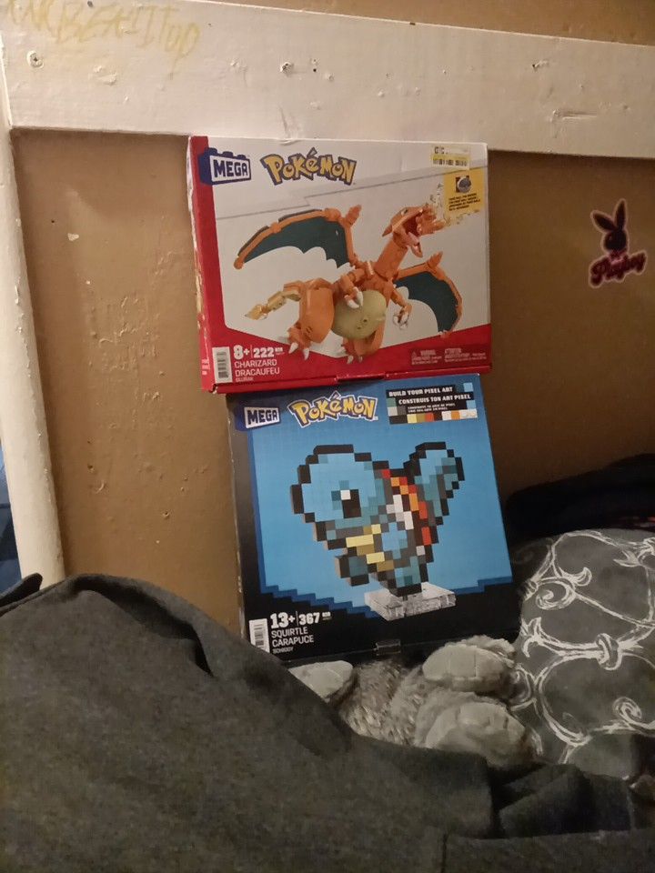Pokemon Mega