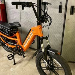 Electric Cargo Bike 