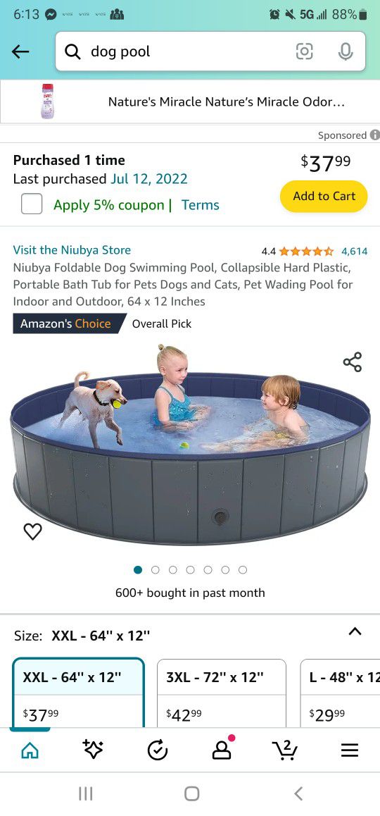 Doggy Splash Pool