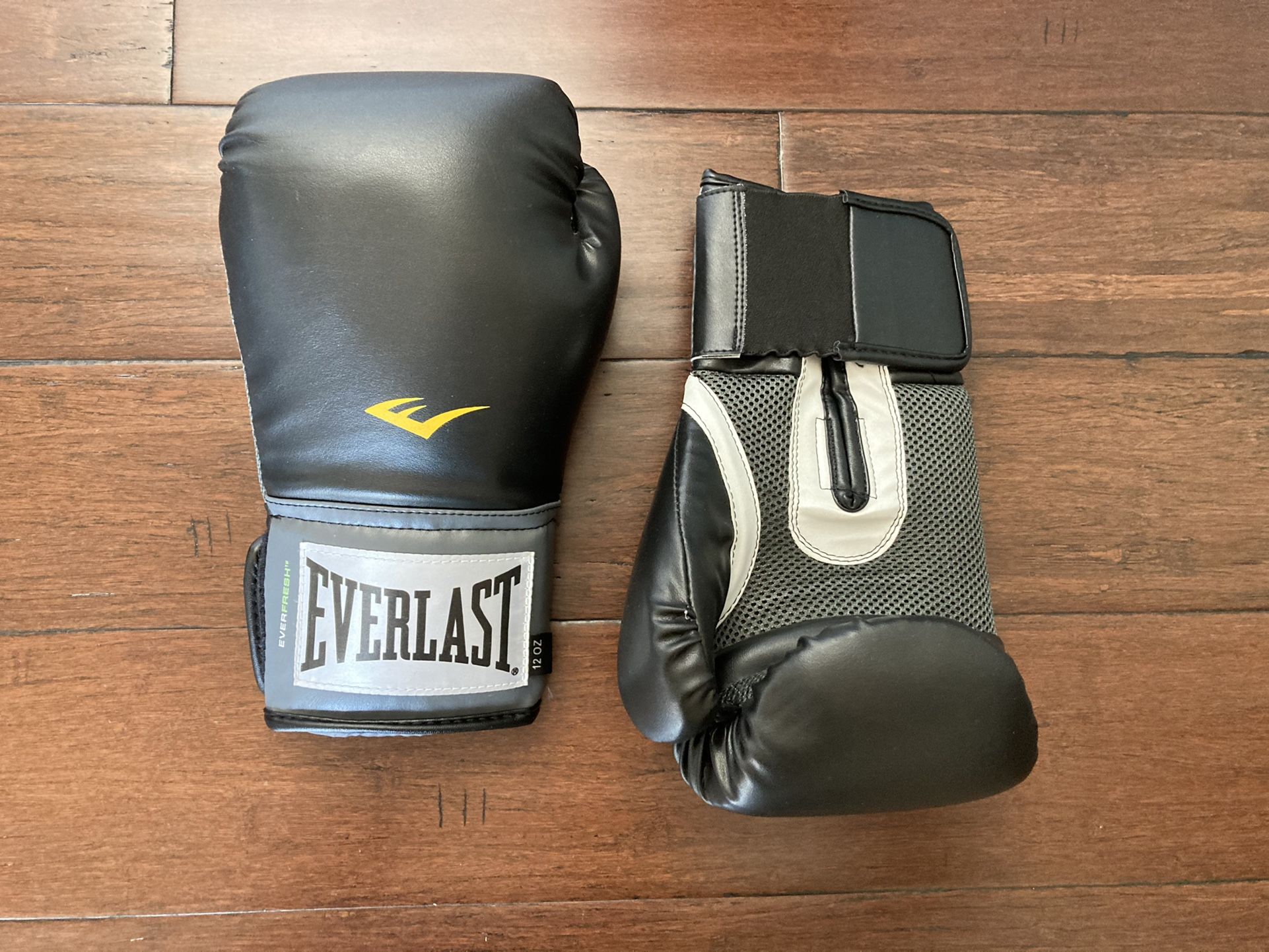 12 oz. Everlast Boxing Gloves 