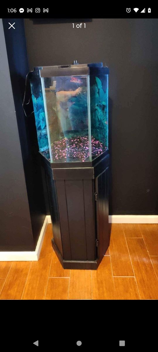 Fish Tank 