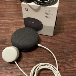 Google Home Mini & Chromecast 