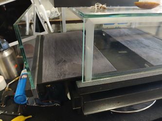 Show Case For Gold & D. Or P.