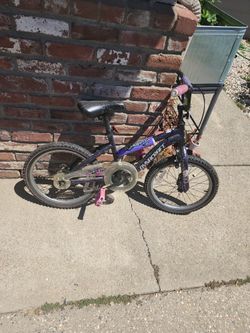 Girls 18inch Dynacraft