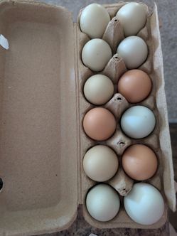 Rainbow eggs