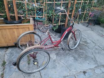 Collectible TRCYCLE ADULT SIZE Sttloker TRI-Star