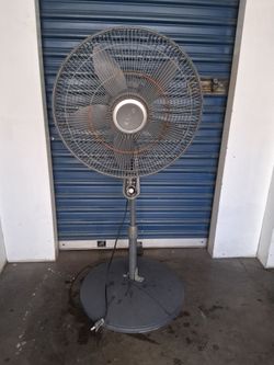 Fan