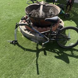 Bike Trailer 