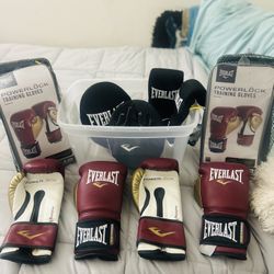 Everlasting Boxing Gloves Set 