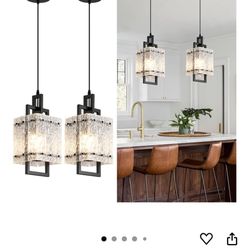 2 Pack Matte Black Light Pendants 