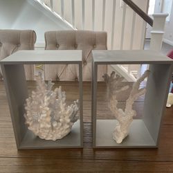 Decor Coral Art With 3D Frame 
