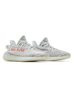 Adidas Yeezy 350 V2 Blue Tint
