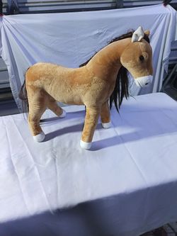 Horse caballo