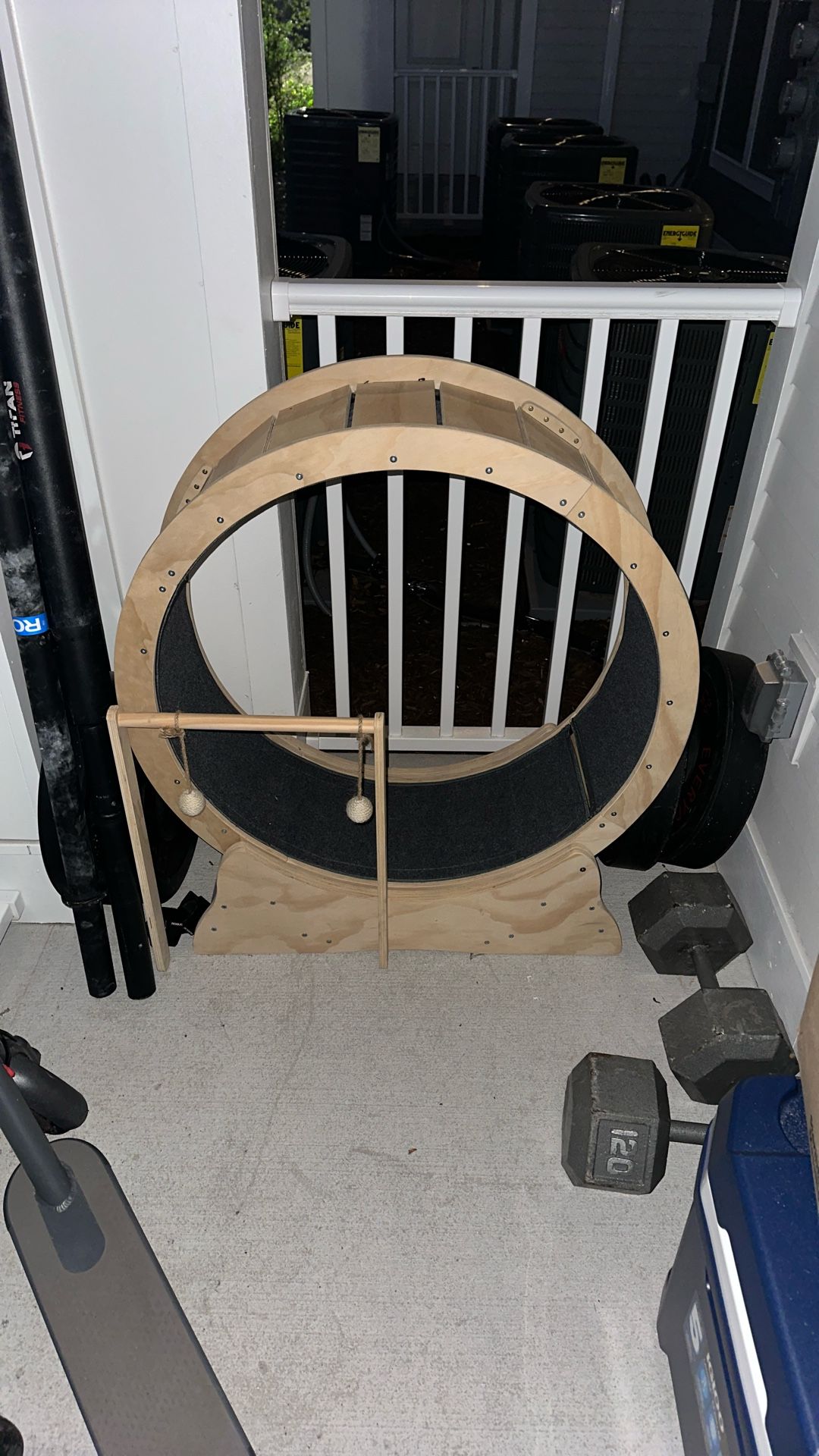 Brand New Cat Wheel