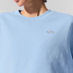 Alo  Accolade Crew Pullover 