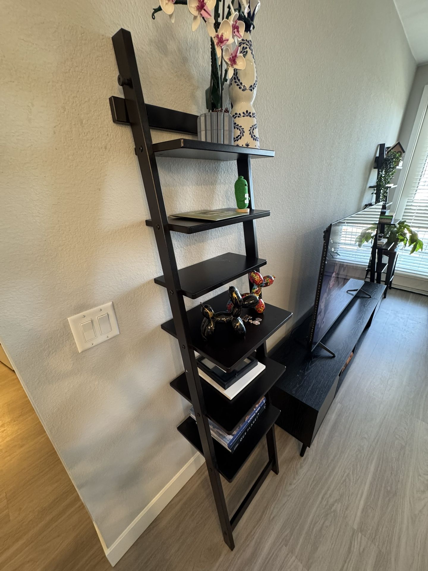 2 Ladder Shelves