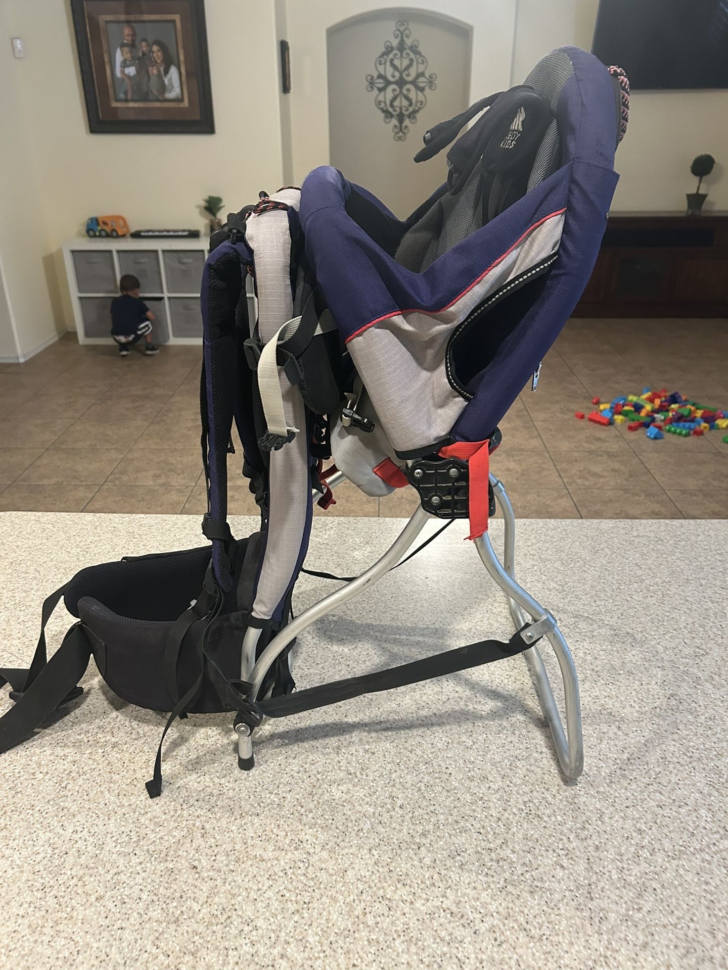 KELTY KIDS Backcountry Hiking Backpack Child Carrier