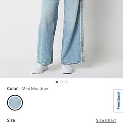 Arizona super low rise baggy through hip and thigh wide leg