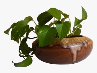 Mid-Century Frank Moreno Pottery Art Planter
