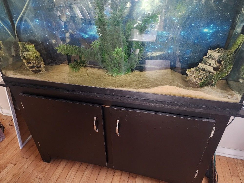 Aquarium / Fish tank with All Needed Accessories