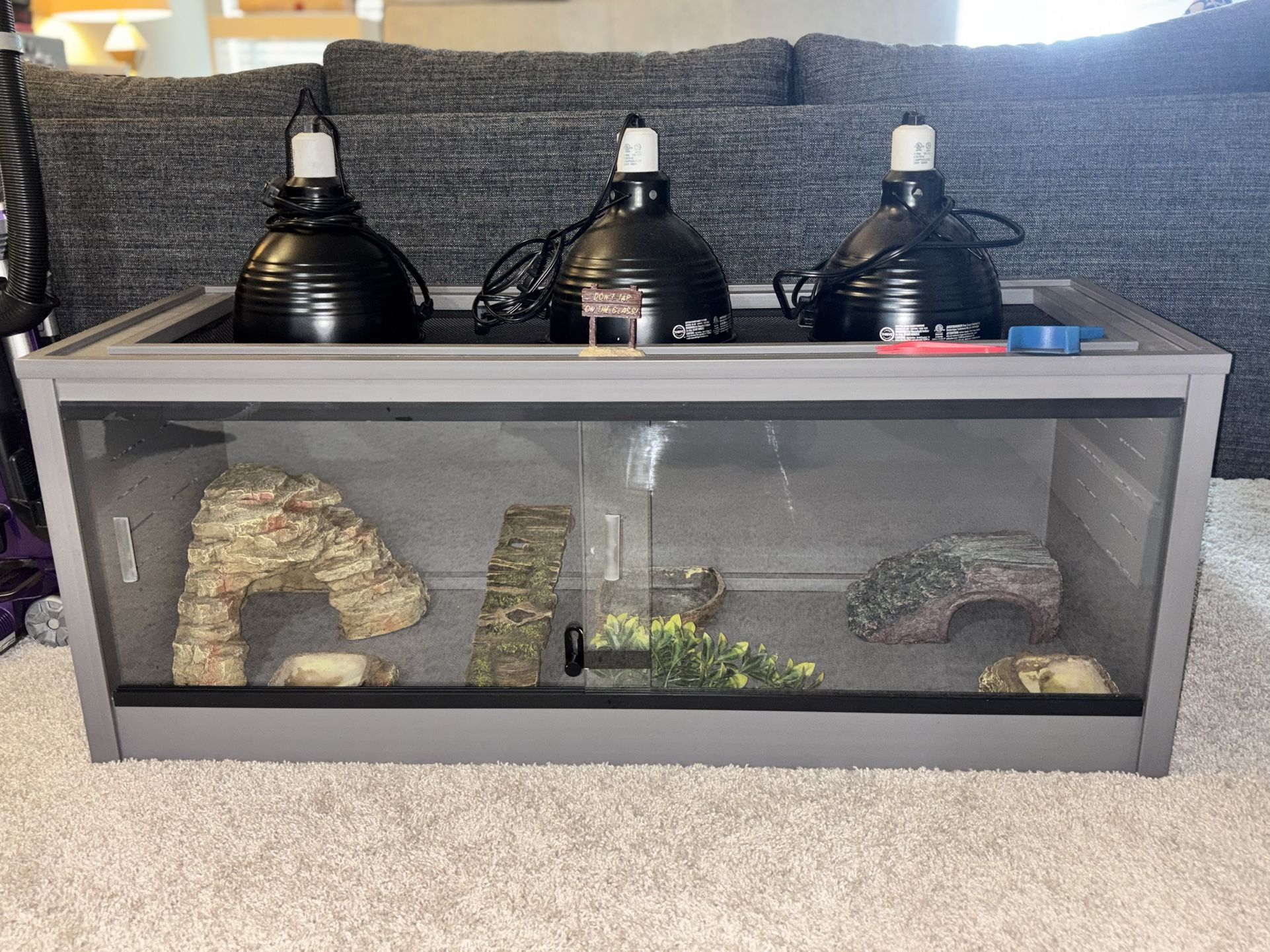 51.5 Gallon Tank/terrarium