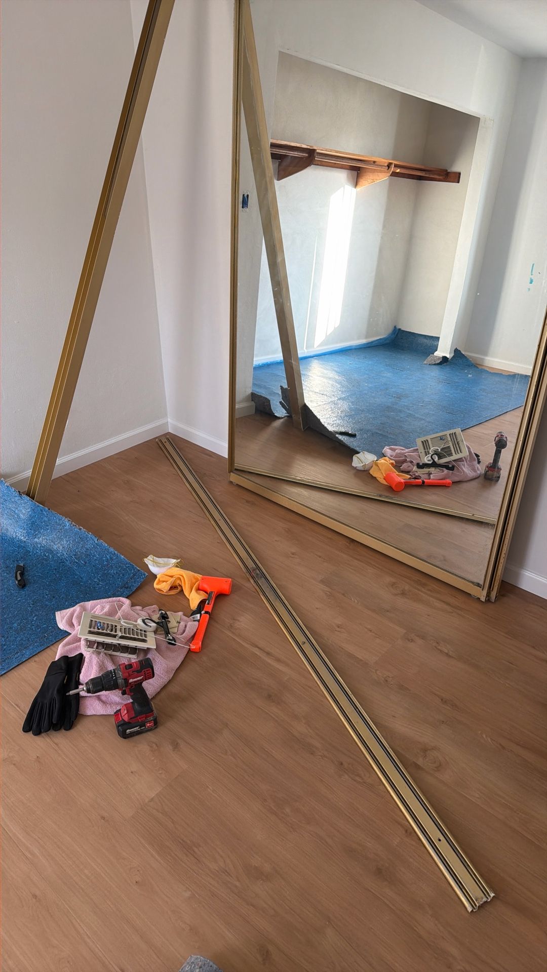 Glass closet Doors With Fran