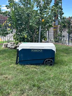IGLOO,ICE CHEST,COOLER,HIELERA
