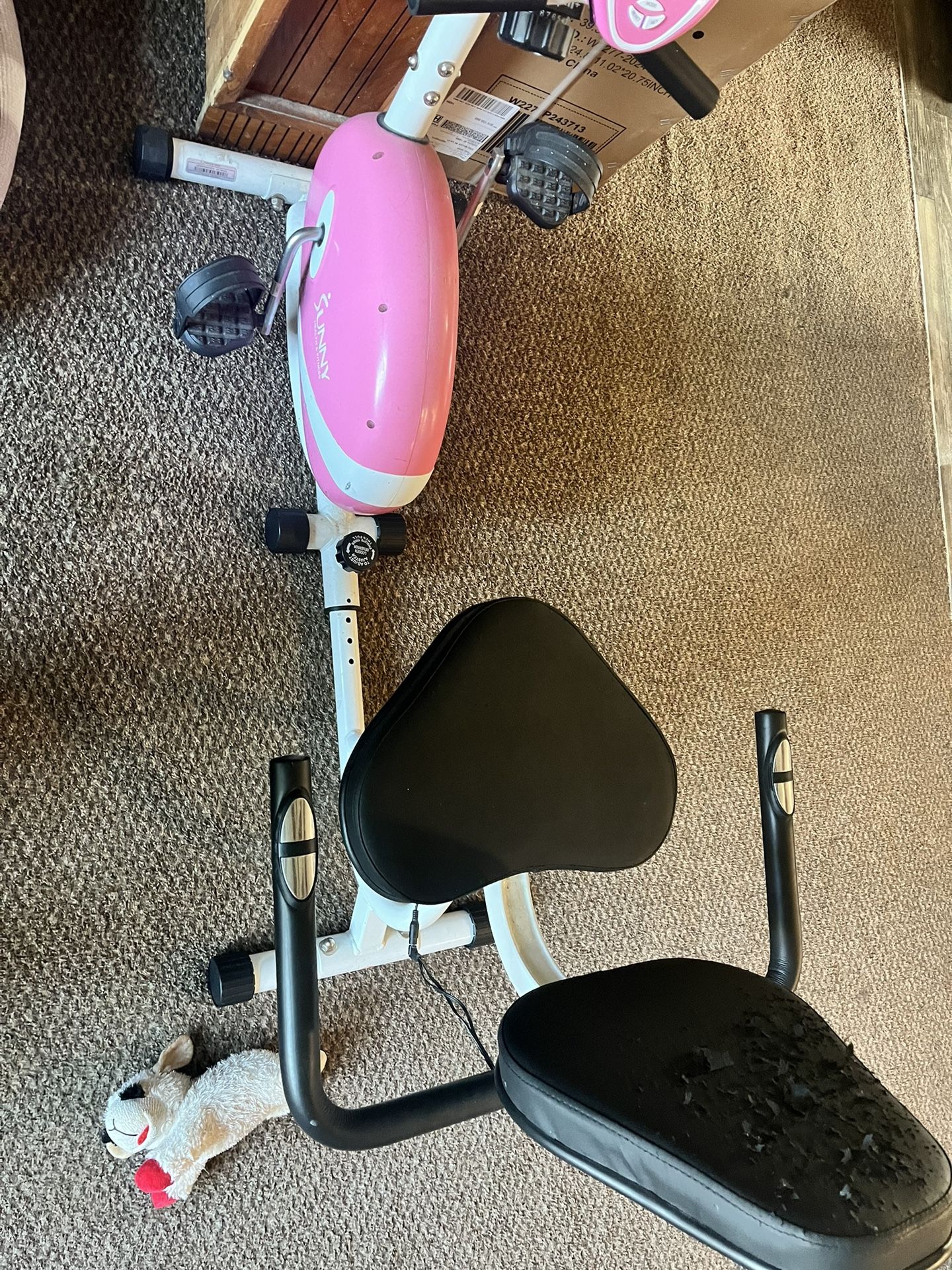 Exercise Bike
