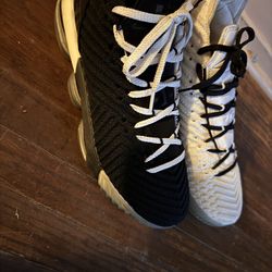 shoes LeBron size 12