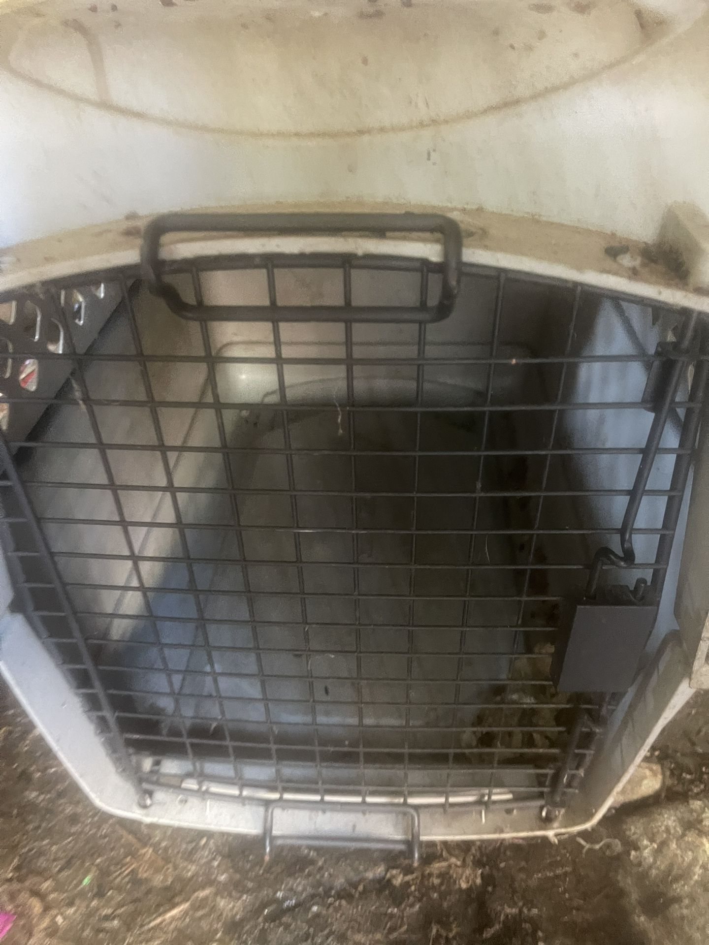 Small Kennel