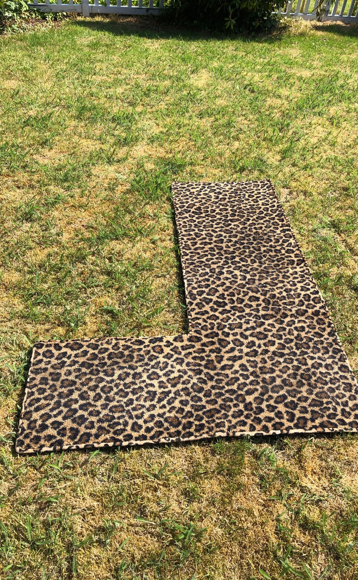 Leopard carpet for a 7 pass J seat limo.