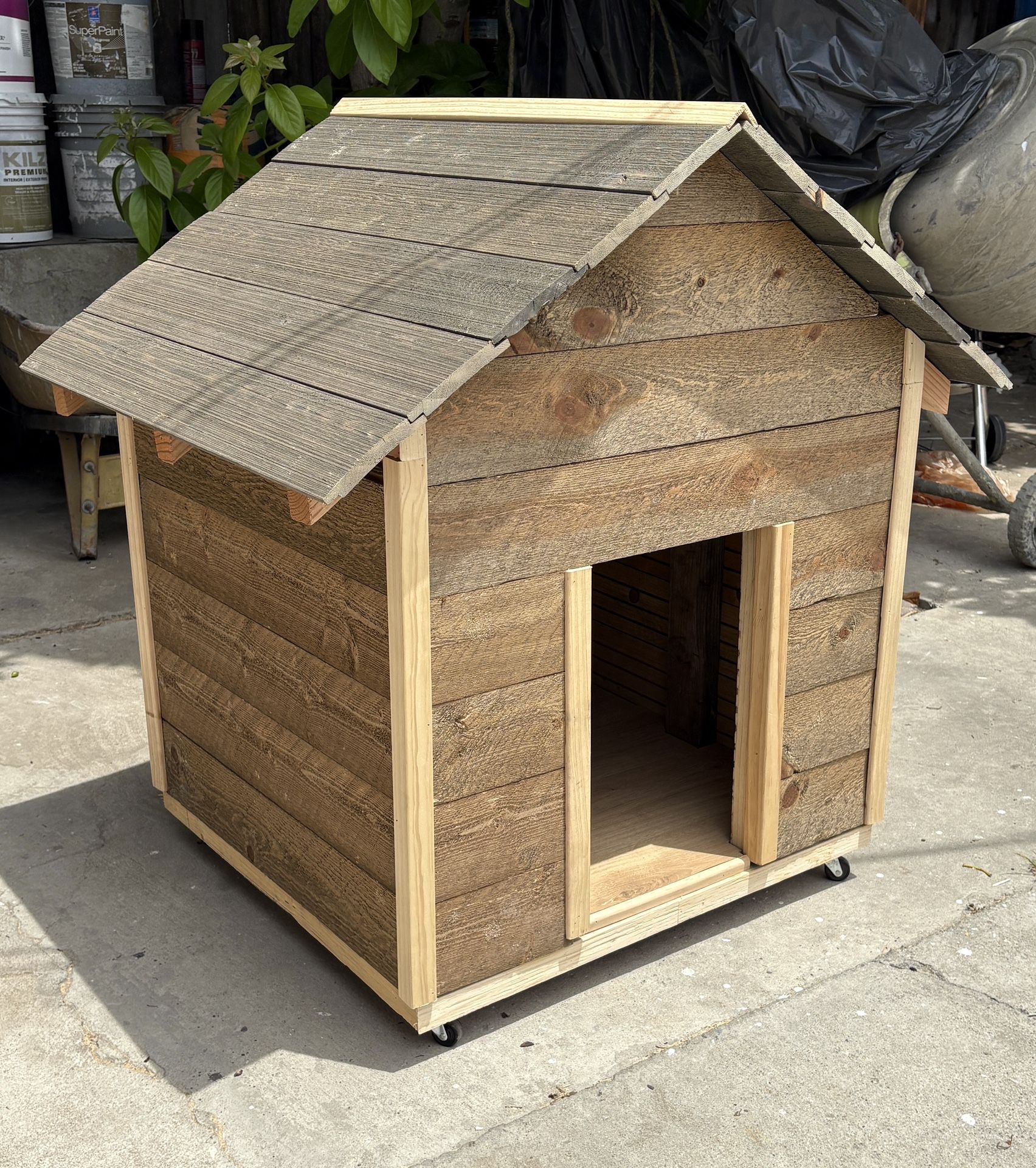 Dog House / Casa De Perro