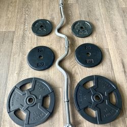 Standard Super Curl Bar with Weider Weight Plates 25s, 10s and 5s. (Total: 98 lbs)    