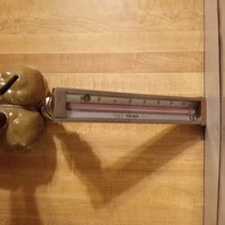 Palmer Industrial Grade Thermometer