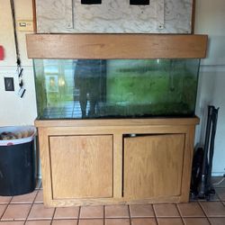 Aquarium And Cabinet