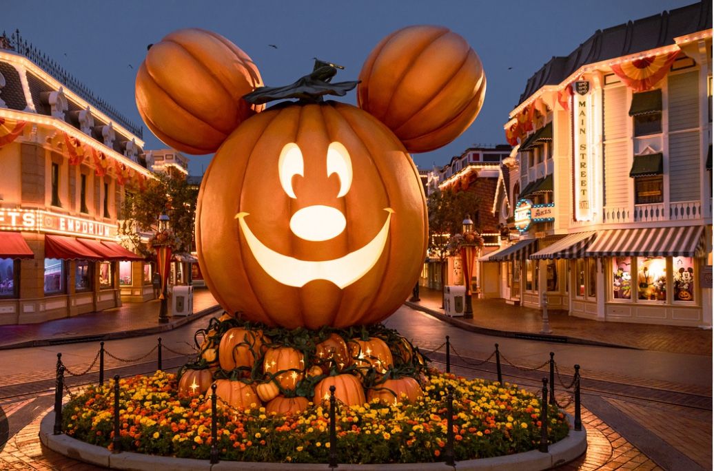 2 disneyland tickets
