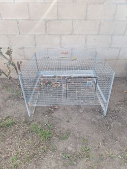 Small animal cage